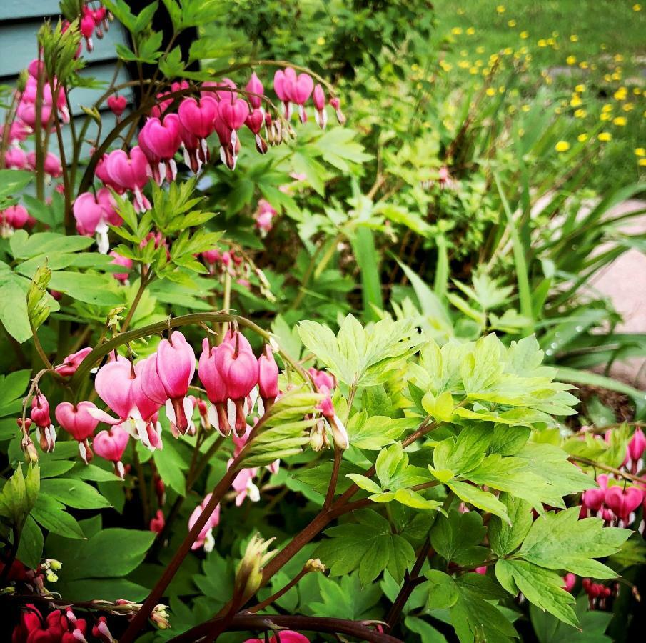 Harbor Hill House Bayfield Bagian luar foto